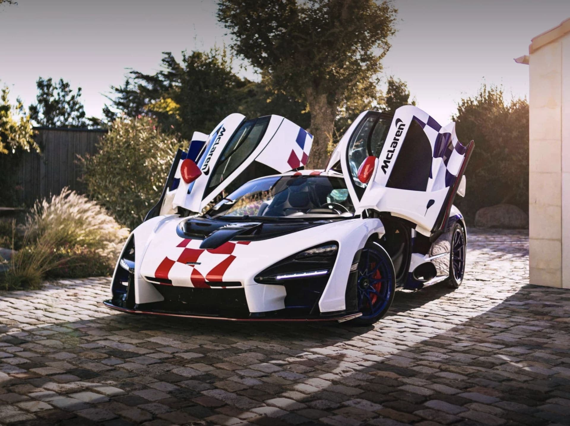 Car of the Week: McLaren Senna MSO Fina